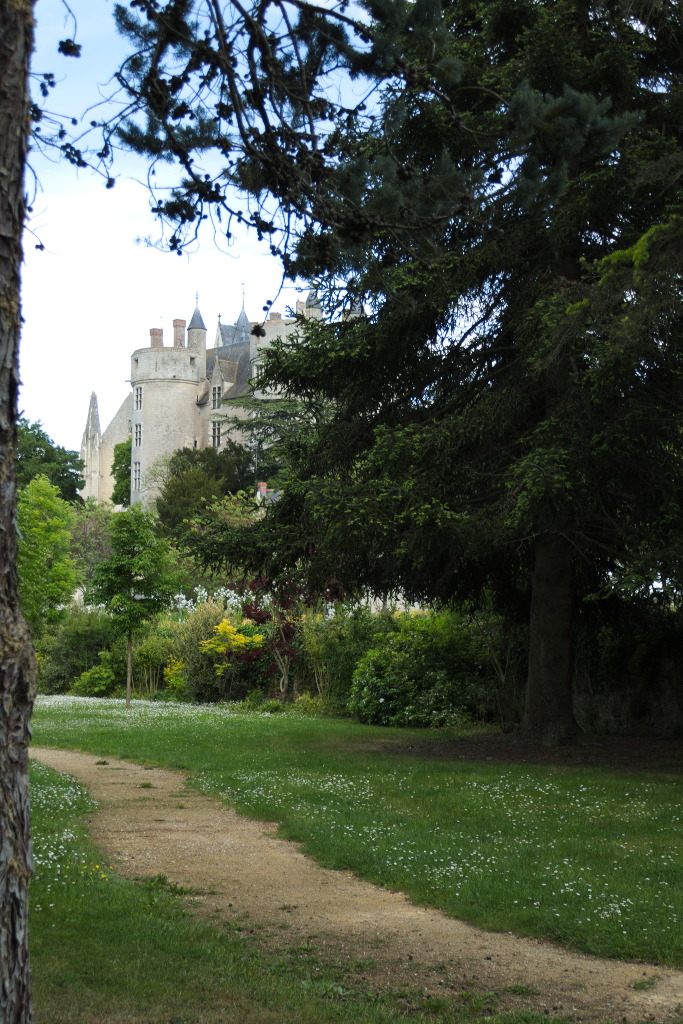 Montreuil-Bellay Le chemin des Nobis p.jpg