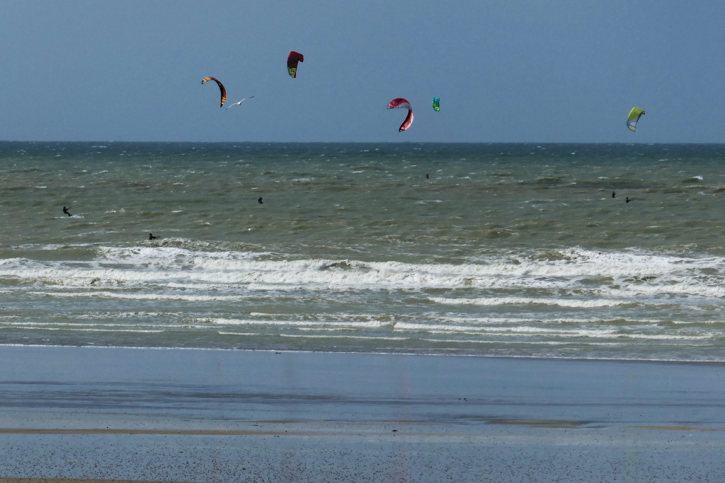 P1000167-1 p.jpg